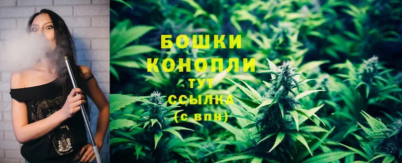 Бошки марихуана THC 21%  МЕГА зеркало  Кировск  дарнет шоп 